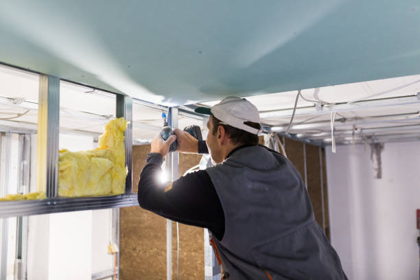 Best Geographic-Specific Insulation Services in Brooklyn, IN